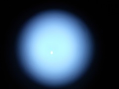Venus