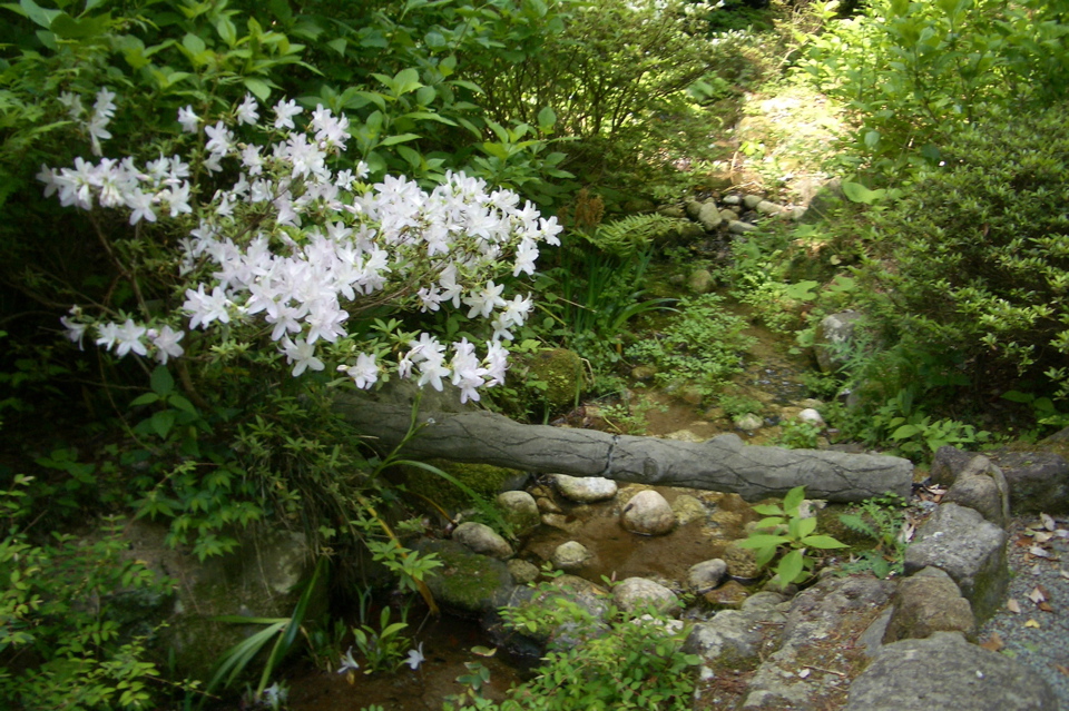 Hakone