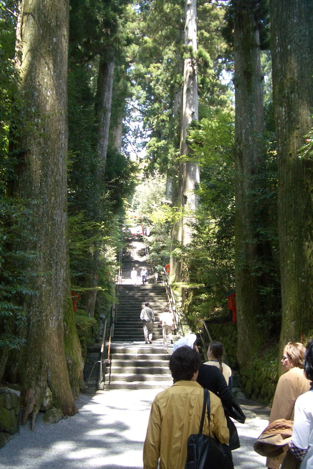 up, up to the Hakone shrine