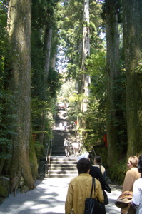 up, up to the Hakone shrine