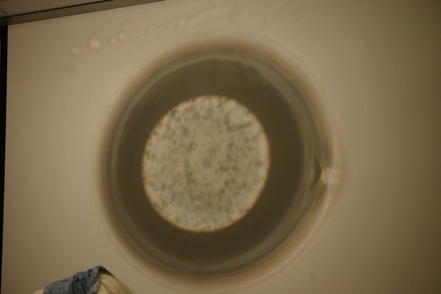 Swirling cloud - on the overhead projector