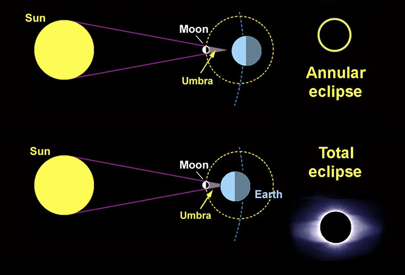 Differences between annular and total solar eclipses